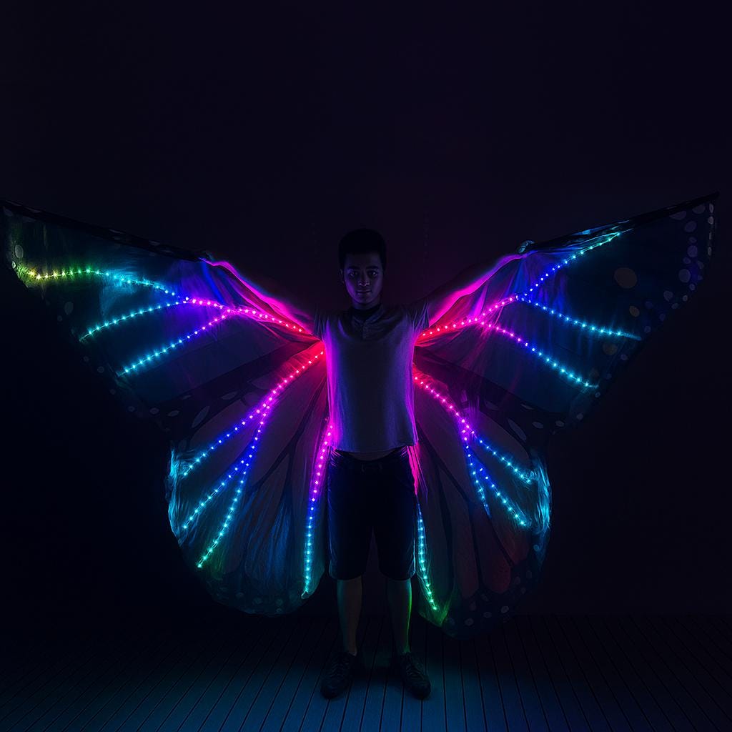 LED Butterfly Wings Costume for Rave Party, Masquerade Party & Carnival Party | Light Up Dance Wing |Festival Glowing Fairy Wings for Adults